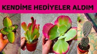 KENDİME HEDİYELER ALDIM || BAHÇEME YENİ RENKLER GELDİ