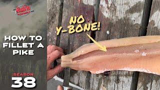 How to Fillet a Pike - NO Y-BONES!