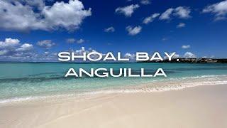 Discover Shoal Bay, Anguilla’s ultimate beach! |4k|