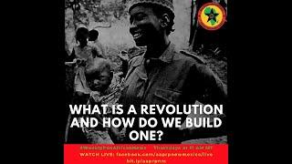 Weekly Pan-African News - What is a Revolution and How Do We Build One?