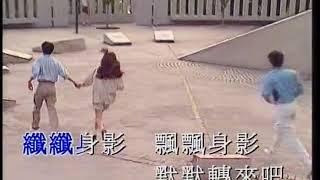 李克勤 - 护花使者