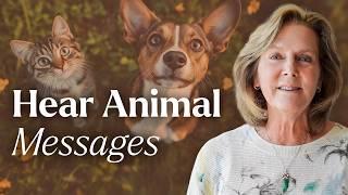 The #1 Animal Communication Tool YOU NEED! | Tami Hendrix