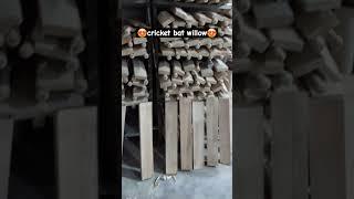 cricket bat making  Ph 9654934420 #cricket #t20worldcup #t20worldcup2024 #teamindia #cricketvideo