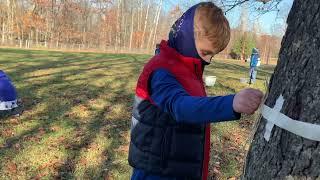 School Yard Field Trips | Explore Nature | Elementary School