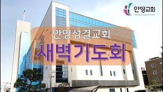 안양성결교회 새벽기도회(11.19/화)