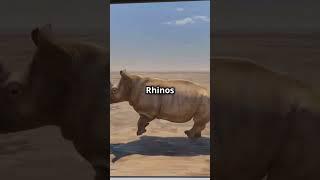 Rhino vs Hippo: Who Wins?