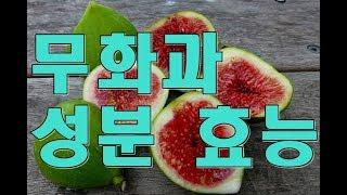 무화과(fig)의 성분, 효능