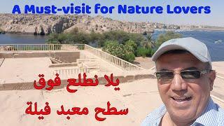 اول مرة.. يلا نطلع على سطح معبد فيلة | سر حجرة تحنيط اوزيريس | A Must-visit for Nature Lovers