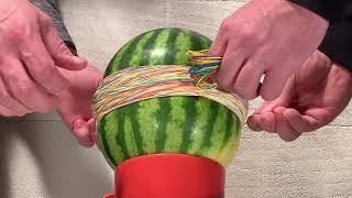 Watermelon vs rubber bands