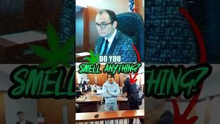 Judge Asks 'Are You High Right Now?' | Judge Fleischer