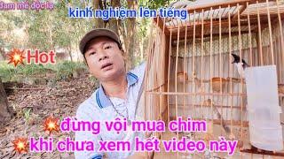 Đừng Vội Mua Chim Khi Chưa Xem Hết Videos Này | đam mê độc lạ