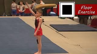 Level 8 Men's Gymnastics - Houston National Invite 2022 - Micah Cox