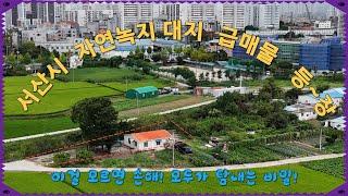 (매물번호 422) 서산토지사랑 ,서산시 석림동에 소재한 자연녹지지역 내에 대지와 경량철골조 주택 ,강력추천 급매물