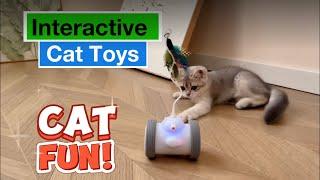 The Interactive Cat Toys for Maximum Feline Fun! | Best Pet Advisor Reviews