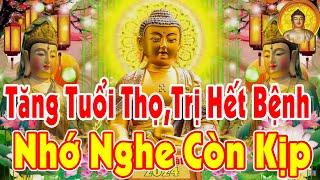 13 Phút Linh Nhiệm – Xua Tan Bệnh Tật, Khổ Đau, Tâm Được An Lạc Suốt Đời