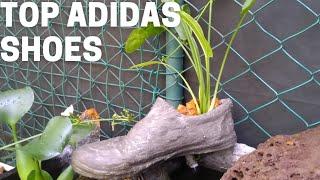 Amazing ideas with cement - Plant pots combined fish tank | shoes to plaut pots