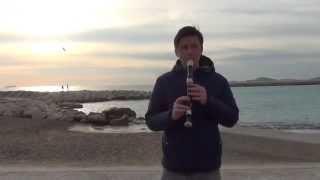 Miley Cyrus - Wrecking Ball Recorder Cover Gabeysik