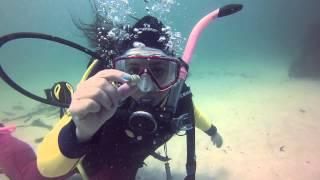 Life Aquatic fun in the Western Cape