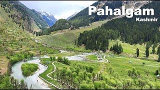 Pahalgam Kashmir | Aru Valley | Betaab Valley | Chandanwari | Kashmir Tourism | Manish Solanki Vlogs