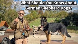 What Should People Know About German Shepherd Dogs?