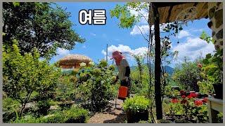 에어컨 없는 산골의 여름나기 , 김장채소밭 만들기