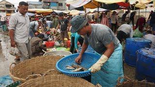 Cambodia Fish Market Tours - Plenty Fish & More Food Brought From Kampong Chhnang Province