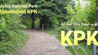 Ayubia National Park Abbottabad KPK. ایوبیہ نیشنل پارک ایبٹ آباد خیبر پختون خواہ