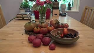 Tomato Harvesting