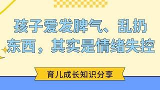 孩子爱发脾气、乱扔东西，其实是情绪失控