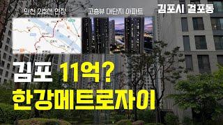 70만 김포의 대장아파트, 한강 메트로자이