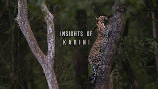 Insights of Kabini | Oct 2018