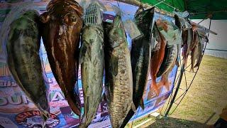 San Carlos Jigging Trolling Fishing Tournament