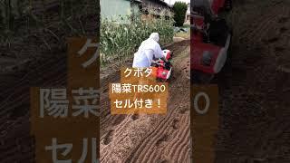 押すだけスタート！耕運機　クボタTRS600 #耕運機　#家庭菜園　#クボタ