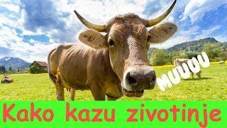 Kako Kazu Zivotinje | Zivotinje Na Farmi