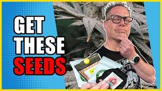 Don't Pop Your Cannabis Seeds Until You Watch THIS