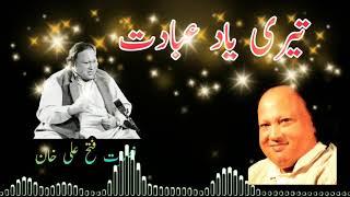 teri yaad ibadat meri by nusrat full | nusrat fateh ali khan qawwali