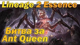 Сражение за Ant Queen в L2 Essence руоф и массовые битвы!  За что я люблю Lineage ️