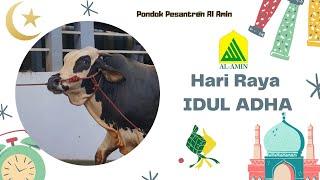 Suasana Idul Adha 1442 H dan Qurban di Pondok Pesantren Al Amin