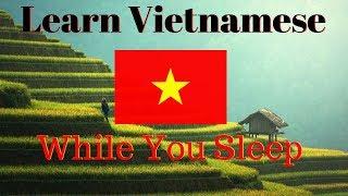 Learn Vietnamese While You Sleep  130 Basic Vietnamese Words and Phrases  English/Vietnamese