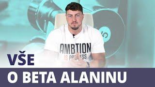 Vše o Beta Alaninu | GymBeam | Fitness Academy