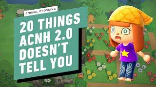 Animal Crossing New Horizons Guide - 20 Things ACNH 2.0 Doesn't Tell You