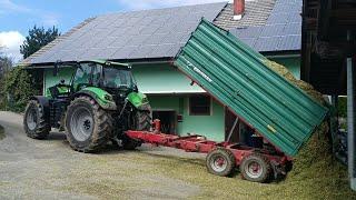 Corn Silage 2024 