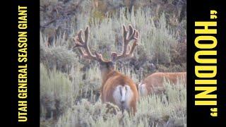 GIANT BUCK - Utah General Season - "Houdini"