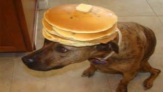 Top 5 Pancake