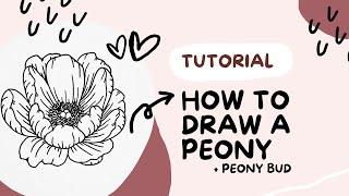 HOW TO: Learn to draw a PEONY + Peony bud Tutorial