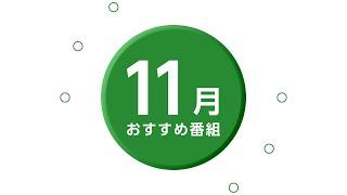 【CCNチャンネル】2024年11月のおすすめ番組をご紹介！