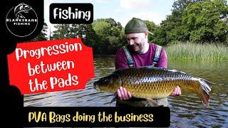 Carp Fishing: A Successful Day on the Lake with More Fish