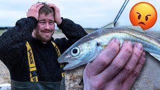 Fishing For The Most HATED Sea FISH in The UK?