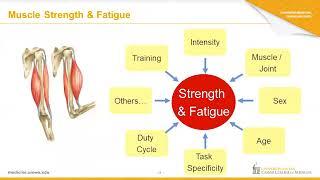 Strength and Fatigue with Aging