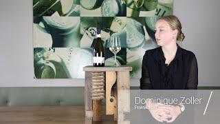 Wein erklärt: BIO-Prosecco Spumante DOC Extra Dry Pizzolato